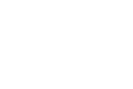 VILLE DE CHARLEROI